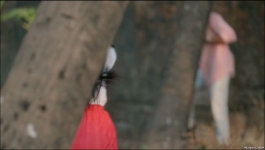 Savdhaan India - 27th March 2024